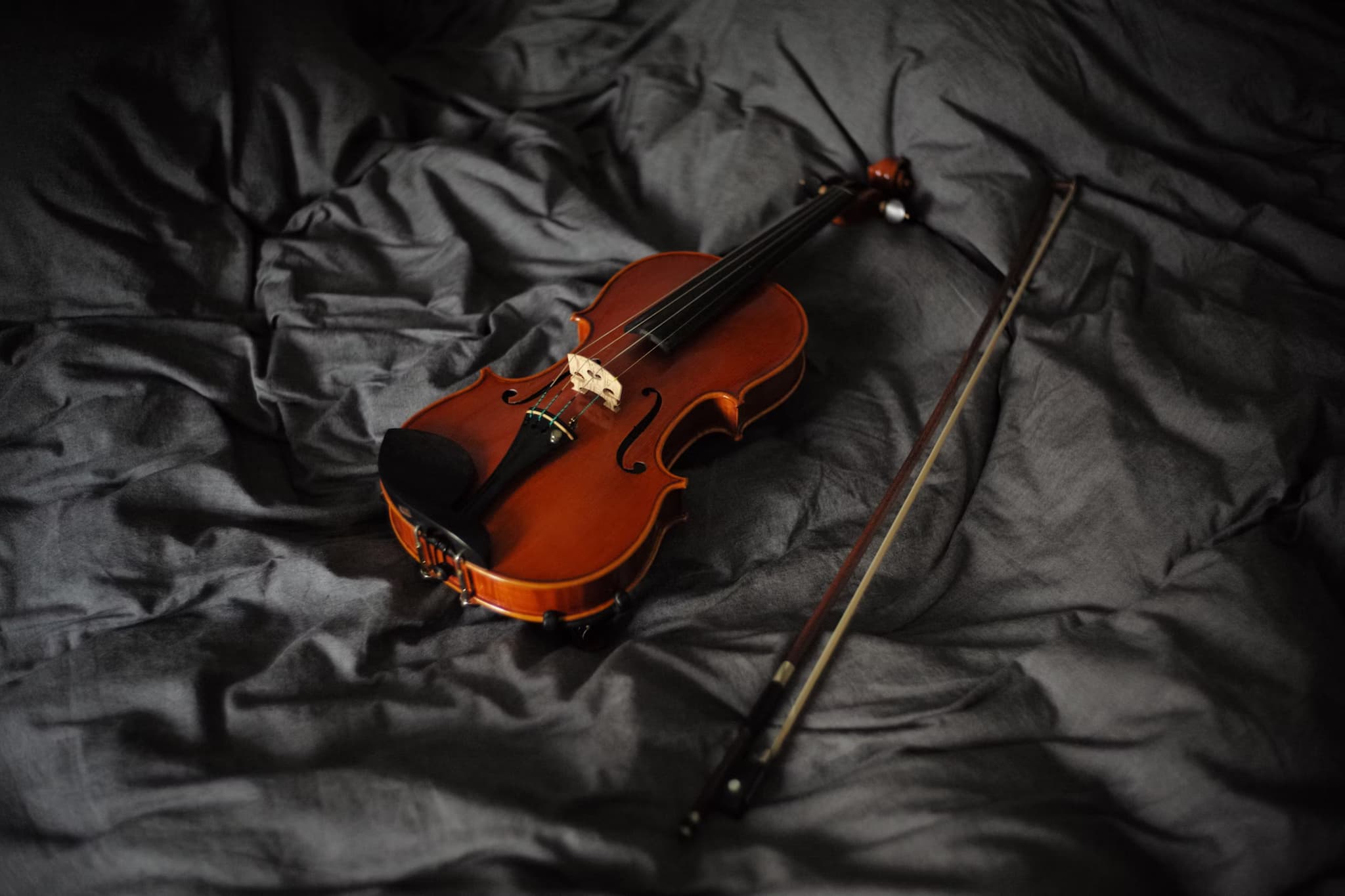Image of Violin for Beginners